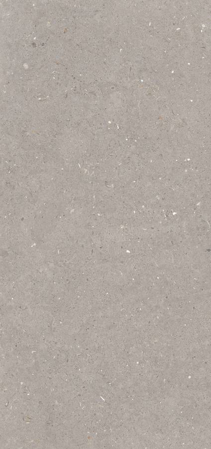 Керамогранит Stx Fossil Mud 3pc 59,8х119,8 Керамогранит Stx Fossil Mud 3pc 59,8х119,8