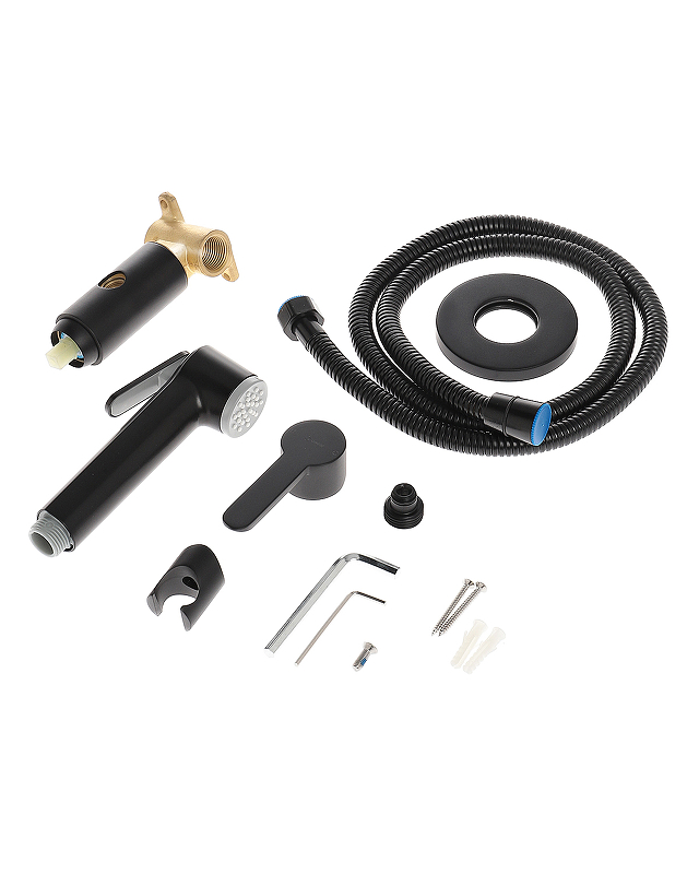 Agger Gorgeous A0270044 смеситель скрытого монтажа с внутренней частью и гиг.душем Agger Gorgeous A0270044 смеситель скрытого монтажа с внутренней частью и гиг.душем