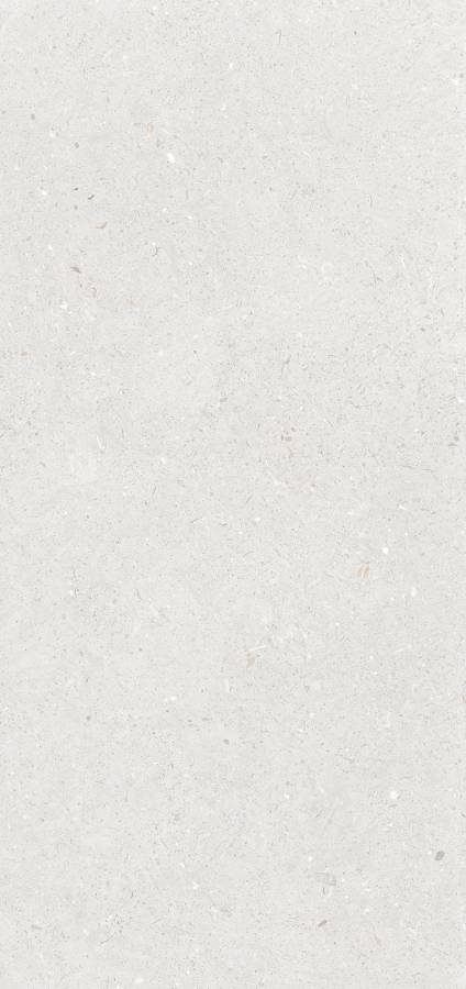 Керамогранит Stx Fossil Silver 3pc 59,8х119,8 Керамогранит Stx Fossil Silver 3pc 59,8х119,8