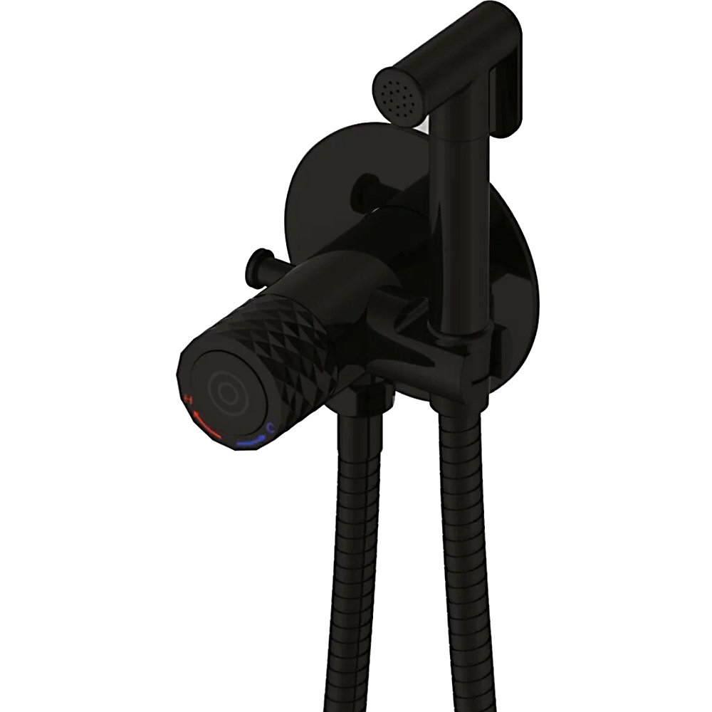 Гигиенический душ со смесителем Rose R225H, черный Гигиенический душ со смесителем Rose R225H, черный