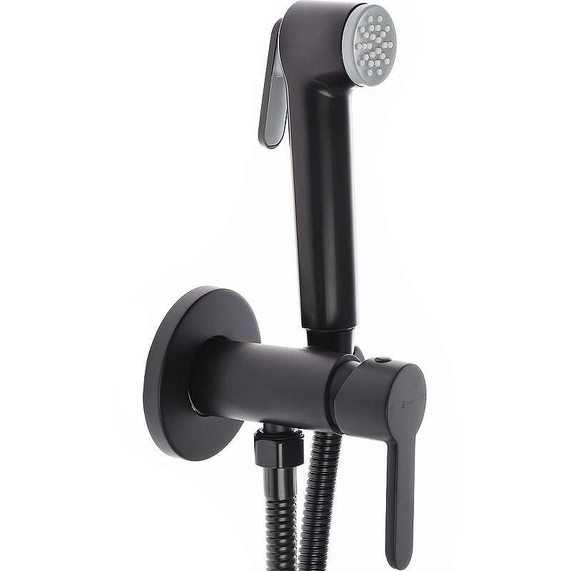 Agger Gorgeous A0270044 смеситель скрытого монтажа с внутренней частью и гиг.душем Agger Gorgeous A0270044 смеситель скрытого монтажа с внутренней частью и гиг.душем