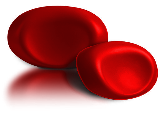 Подголовник Viva Maxi (VMR) Подголовник Viva Maxi (VMR)