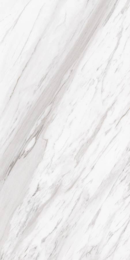 Керамогранит CRV-3145 carving 60х120 Керамогранит CRV-3145 carving 60х120