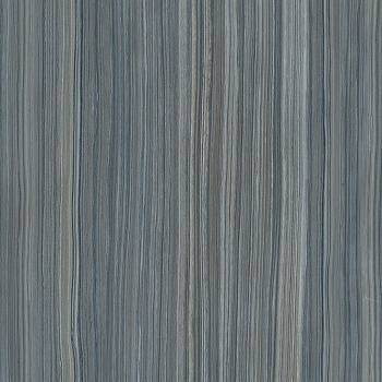 Serpeggiante Керамогранит Серый K947859LPR01VTE0 60х60 Serpeggiante Керамогранит Серый K947859LPR01VTE0 60х60