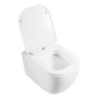 BB1102CH/BB1102SC/BB002-80/BB014-SR-BIANCO Унитаз подвесной с сиденьем BelBagno GENOVA + Система инсталляции для унитазов с кнопкой смыва BB014-SR-BIANCO Исполнение: Белый 