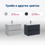 Тумба под раковину Aquanet Алвита New 60 2 ящика, дуб веллингтон белый Тумба под раковину Aquanet Алвита New 60 2 ящика, дуб веллингтон белый