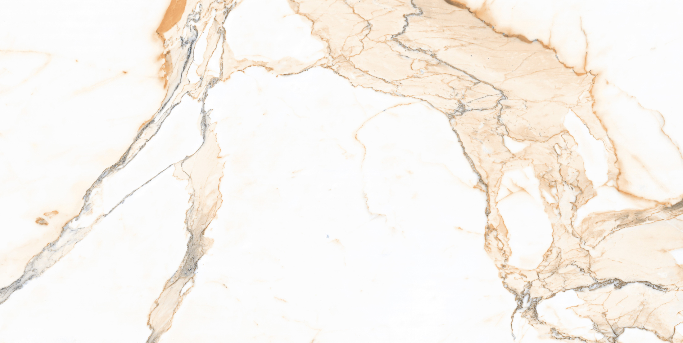 Керамогранит 600x1200 карвинг 12161R