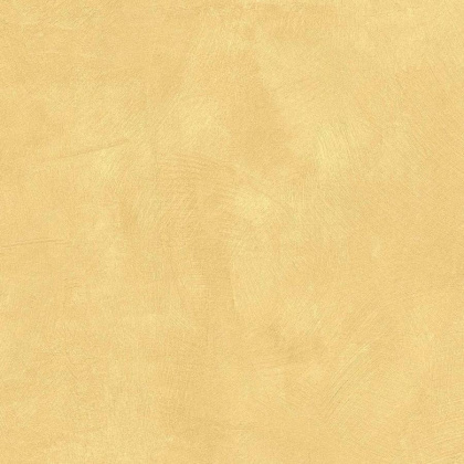 SR04 60x60х10 Непол.Рект. (Керамический гранит)