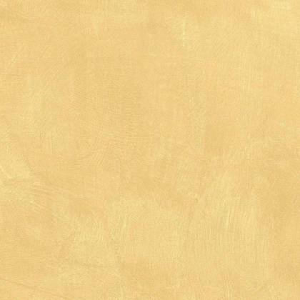 SR04 60x60х10 Непол.Рект. (Керамический гранит)