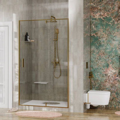 Aisch 55P04 Душевая дверь Wasserkraft