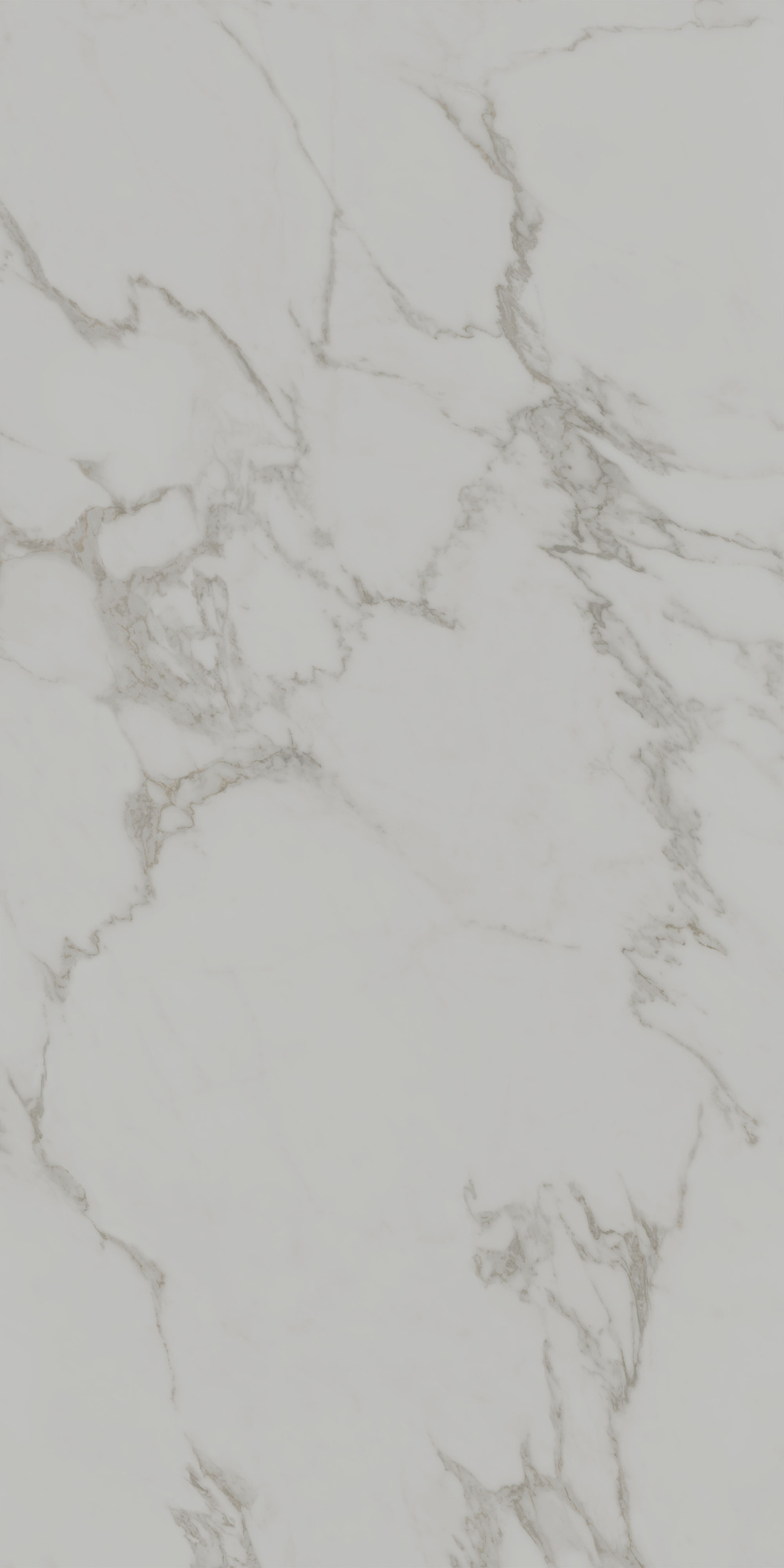 Монте Тиберио серый светлый матовый обрезной 80x160x0,9