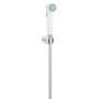 Душ гигиенический Grohe Tempesta-F 26355IL0 белый Душ гигиенический Grohe Tempesta-F 26355IL0 белый