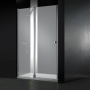 ELENA-W-B-12-120-P-Cr-L Душевая дверь