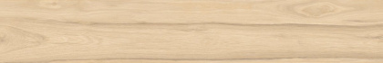 Selva керамогранит бежевый SG517620R 20х119,5