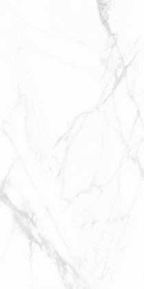 GT1206015903PDR Керамогранит Andrea_GT Белый 60x120 _ 1\40,32