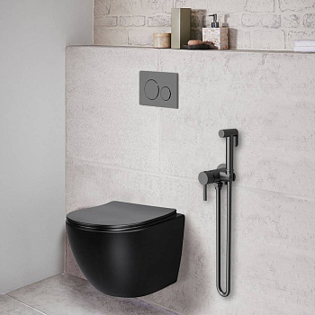 Гигиенический душ VHFW-101GM из латуни в комплекте со смесителем, вороненая сталь Гигиенический душ VHFW-101GM из латуни в комплекте со смесителем, вороненая сталь