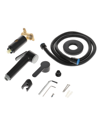 Agger Gorgeous A0270044 смеситель скрытого монтажа с внутренней частью и гиг.душем