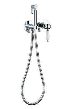 Гигиеническая лейка со смесителем BRILLANTE Гигиеническая лейка со смесителем BRILLANTE