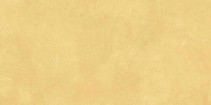 SR04 60x120х10 Непол.Рект. (Керамический гранит)