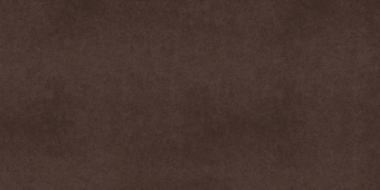 CA03 60x120x10 Непол.Рект. (Керамический гранит)