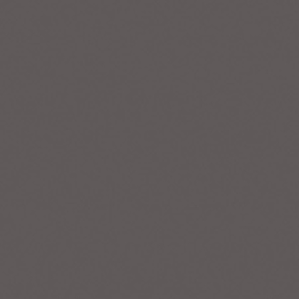 Керамогранит RW033 60x60 Непол.Рект.