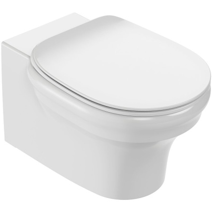 Крышка-сиденье для унитаза E24048-0 Jacob Delafon Cleo белый с микролифтом, шт.