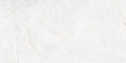 NL00 60x120x10 Непол.Рект. (Керамический гранит)