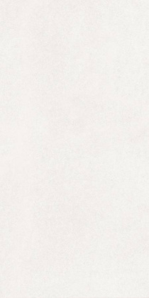 GT1206016603MDR2 Керамогранит Lavina_GT Белый 60x120 _ботаника 1\40,32