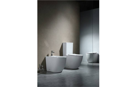 Биде напольное AQUATEK ЕВРОПА AQ1017-00 560*360*410 мм, цвет белый Биде напольное AQUATEK ЕВРОПА AQ1017-00 560*360*410 мм, цвет белый