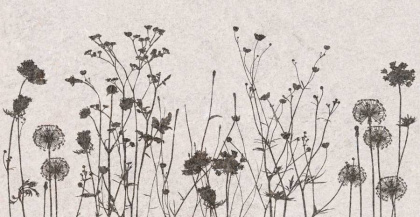 Декор Creto Flamel 31х61