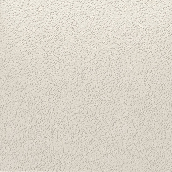 Керамогранит Nisus Neve Rect 60х60