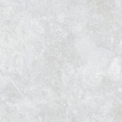 Ocean Fairy Керамогранит светло-серый 60х60 Полированный Ocean Fairy Керамогранит светло-серый 60х60 Полированный