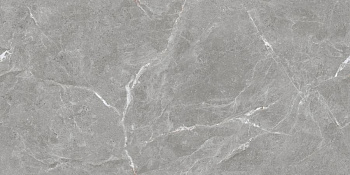 Stone Cool Grey Керамогранит серый 60х120 Полированный