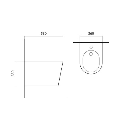 Биде подвесное AQUATEK ВЕГА AQ1057-00, 530*360*330 мм, цвет белый Биде подвесное AQUATEK ВЕГА AQ1057-00, 530*360*330 мм, цвет белый