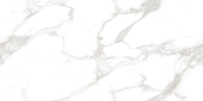 Statuario Perfect Silver Керамогранит белый 60х120 Полированный Statuario Perfect Silver Керамогранит белый 60х120 Полированный