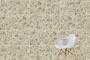 60х60 CityStone Чеппо Мультиколор Матовый R10A 7Рек