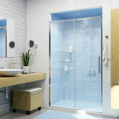 Dinkel 58R31 Душевая дверь Wasserkraft