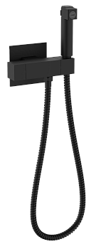 Смесители Raglo с гигиеническим душем встраиваемый с термостатом R24.56.06 Смесители Raglo с гигиеническим душем встраиваемый с термостатом R24.56.06