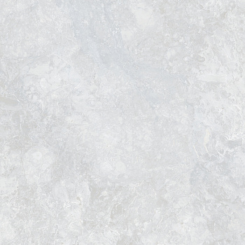 Ocean Fairy Керамогранит светло-серый 60х60 Полированный Ocean Fairy Керамогранит светло-серый 60х60 Полированный