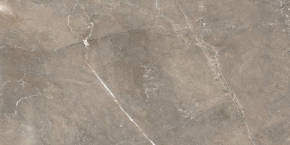 GT122VG Плитка облиц. Siluet GT Кор. 50*25 _ 1 \74,25