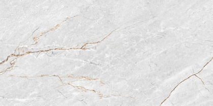 GT136VG Плитка облиц. Aventura GT Сер. 50*25 _ 1 \74,25