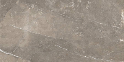 GT122VG Плитка облиц. Siluet GT Кор. 50*25 _ 1 \74,25