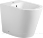 Биде напольное Aquanet Atago 2.0 B1 LX-1057A Биде напольное Aquanet Atago 2.0 B1 LX-1057A
