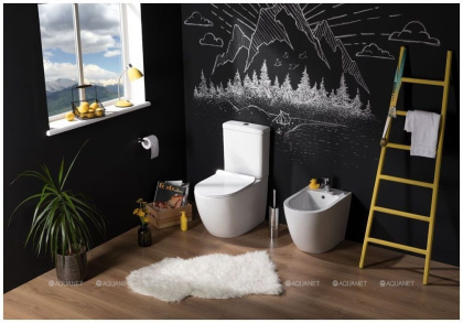 Сливной бачок Aquanet Cetus-C2 BL-102N-TPT Сливной бачок Aquanet Cetus-C2 BL-102N-TPT