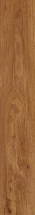 Керамогранит Forest Amber 19,4х120 непол.