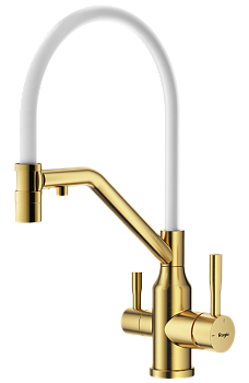 Смеситель Raglo для кухни со съемным гибким изливом, с магнитным фиксатором излива, с подключением фильтра питьевой воды R81.62.03