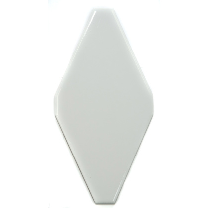 FTR-1025A керамика глянцевая (100*200) плоская