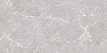 Mramor Chic Silver Керамогранит серый 60х120 Полированный Mramor Chic Silver Керамогранит серый 60х120 Полированный
