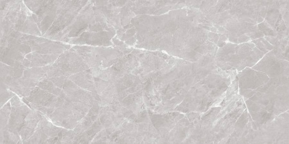 Mramor Chic Silver Керамогранит серый 60х120 Полированный Mramor Chic Silver Керамогранит серый 60х120 Полированный
