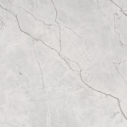 Connect Gris Керамогранит серый SG619922R 60х60 полированный